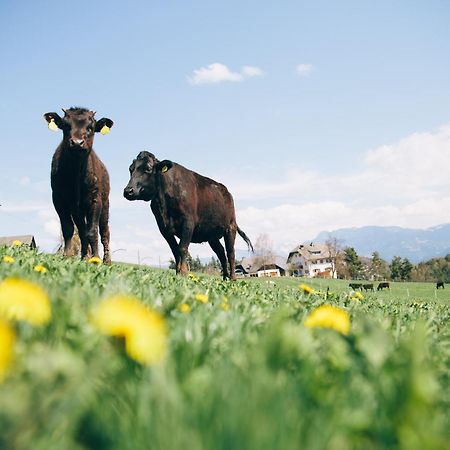 Alpin Farm Birke - Oberweidacherhof Collalbo Exterior photo