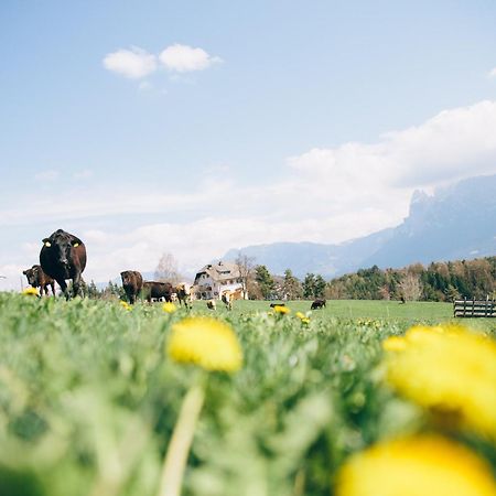 Alpin Farm Birke - Oberweidacherhof Collalbo Exterior photo
